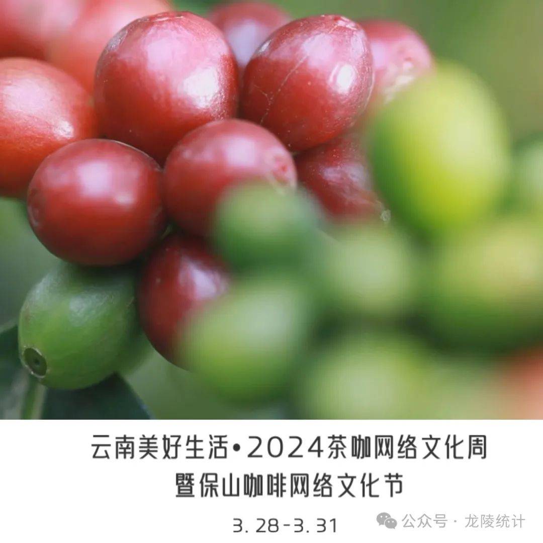 云南茶咖网络文化周来啦！一起回顾保山咖啡发展多米体育之路(图1)