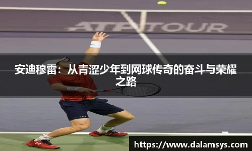 安迪穆雷：从青涩少年到网球传奇的奋斗与荣耀之路